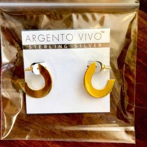 Argentine ViVo Sterling Silver Earrings